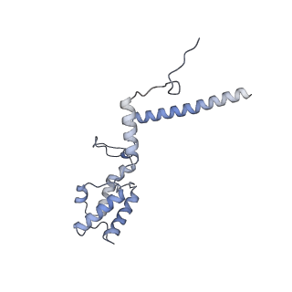 2566_3j6b_8_v1-5
Structure of the yeast mitochondrial large ribosomal subunit