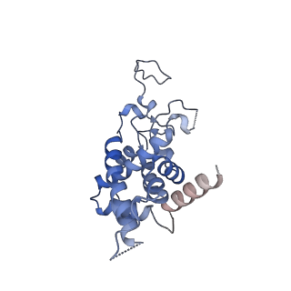 2566_3j6b_9_v1-4
Structure of the yeast mitochondrial large ribosomal subunit