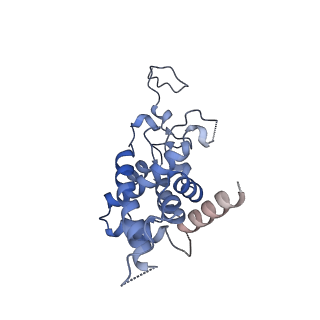 2566_3j6b_9_v1-5
Structure of the yeast mitochondrial large ribosomal subunit