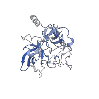 2566_3j6b_B_v1-5
Structure of the yeast mitochondrial large ribosomal subunit