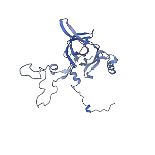 2566_3j6b_C_v1-4
Structure of the yeast mitochondrial large ribosomal subunit