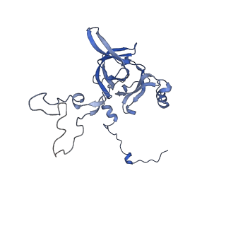 2566_3j6b_C_v1-5
Structure of the yeast mitochondrial large ribosomal subunit