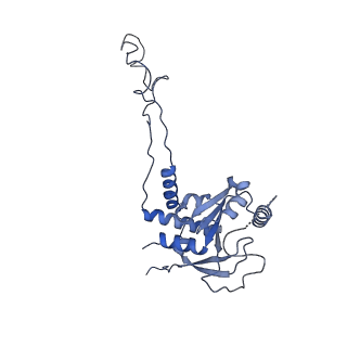 2566_3j6b_D_v1-5
Structure of the yeast mitochondrial large ribosomal subunit