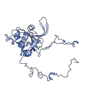 2566_3j6b_E_v1-4
Structure of the yeast mitochondrial large ribosomal subunit