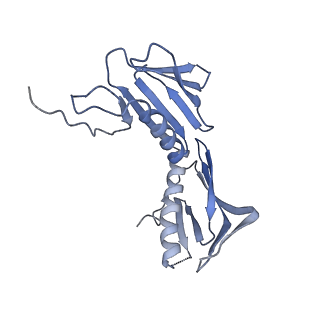 2566_3j6b_F_v1-4
Structure of the yeast mitochondrial large ribosomal subunit