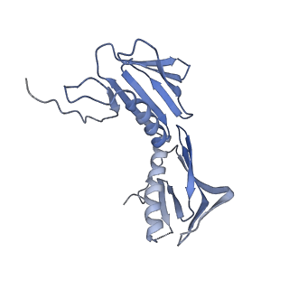 2566_3j6b_F_v1-5
Structure of the yeast mitochondrial large ribosomal subunit