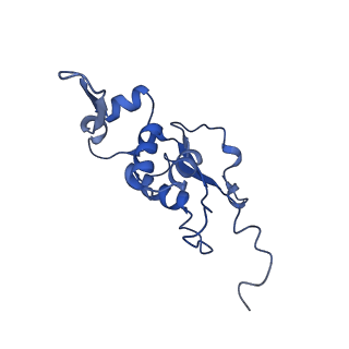 2566_3j6b_H_v1-4
Structure of the yeast mitochondrial large ribosomal subunit