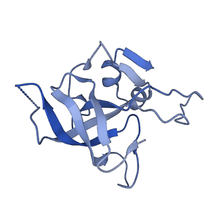 2566_3j6b_I_v1-5
Structure of the yeast mitochondrial large ribosomal subunit