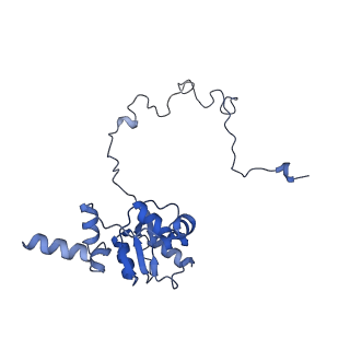 2566_3j6b_J_v1-4
Structure of the yeast mitochondrial large ribosomal subunit
