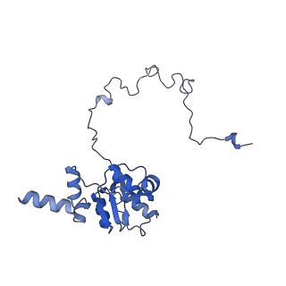 2566_3j6b_J_v1-5
Structure of the yeast mitochondrial large ribosomal subunit