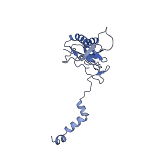 2566_3j6b_K_v1-4
Structure of the yeast mitochondrial large ribosomal subunit