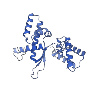 2566_3j6b_L_v1-4
Structure of the yeast mitochondrial large ribosomal subunit
