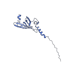 2566_3j6b_M_v1-4
Structure of the yeast mitochondrial large ribosomal subunit