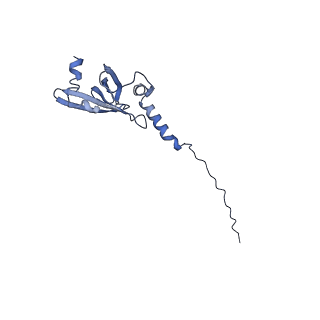 2566_3j6b_M_v1-5
Structure of the yeast mitochondrial large ribosomal subunit