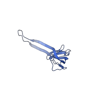 2566_3j6b_N_v1-5
Structure of the yeast mitochondrial large ribosomal subunit