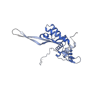 2566_3j6b_O_v1-4
Structure of the yeast mitochondrial large ribosomal subunit