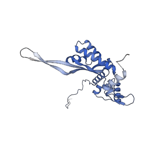 2566_3j6b_O_v1-5
Structure of the yeast mitochondrial large ribosomal subunit