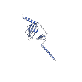 2566_3j6b_P_v1-5
Structure of the yeast mitochondrial large ribosomal subunit