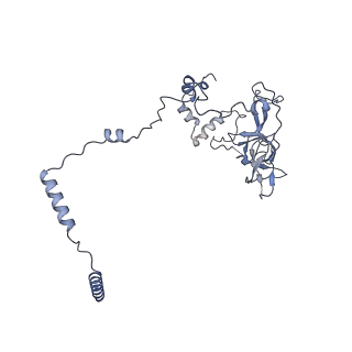 2566_3j6b_Q_v1-5
Structure of the yeast mitochondrial large ribosomal subunit