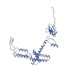 2566_3j6b_R_v1-4
Structure of the yeast mitochondrial large ribosomal subunit