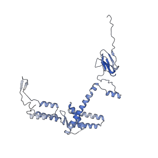 2566_3j6b_R_v1-5
Structure of the yeast mitochondrial large ribosomal subunit