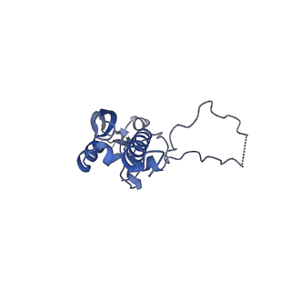 2566_3j6b_S_v1-4
Structure of the yeast mitochondrial large ribosomal subunit
