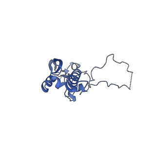 2566_3j6b_S_v1-5
Structure of the yeast mitochondrial large ribosomal subunit