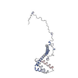 2566_3j6b_T_v1-4
Structure of the yeast mitochondrial large ribosomal subunit