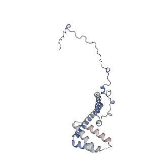 2566_3j6b_T_v1-5
Structure of the yeast mitochondrial large ribosomal subunit