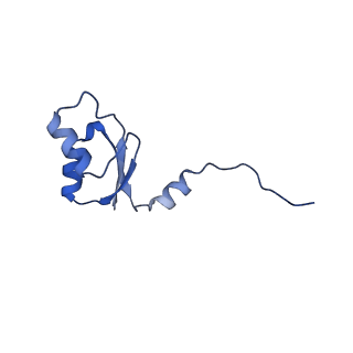 2566_3j6b_U_v1-4
Structure of the yeast mitochondrial large ribosomal subunit