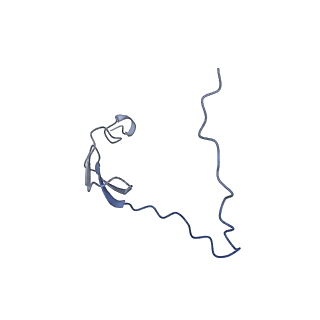 2566_3j6b_V_v1-5
Structure of the yeast mitochondrial large ribosomal subunit