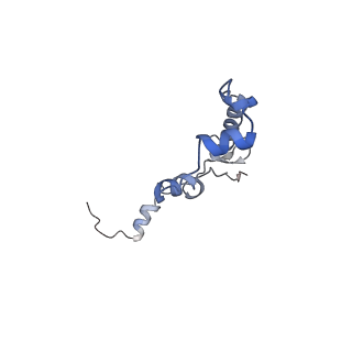 2566_3j6b_W_v1-4
Structure of the yeast mitochondrial large ribosomal subunit