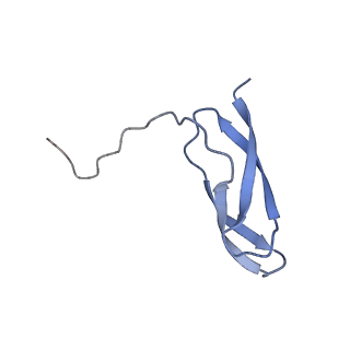 2566_3j6b_X_v1-5
Structure of the yeast mitochondrial large ribosomal subunit