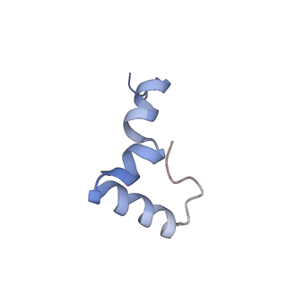 2566_3j6b_Y_v1-4
Structure of the yeast mitochondrial large ribosomal subunit