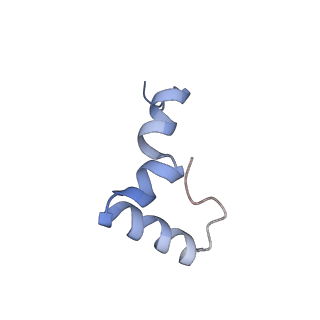 2566_3j6b_Y_v1-5
Structure of the yeast mitochondrial large ribosomal subunit