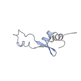 2566_3j6b_Z_v1-5
Structure of the yeast mitochondrial large ribosomal subunit