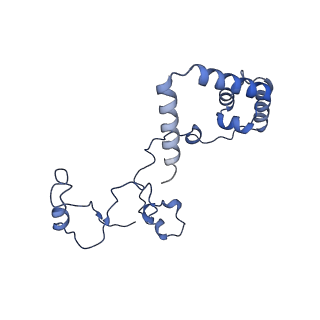 2566_3j6b_a_v1-4
Structure of the yeast mitochondrial large ribosomal subunit
