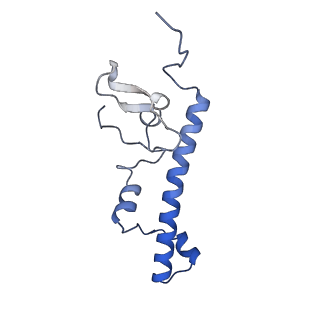 2566_3j6b_c_v1-4
Structure of the yeast mitochondrial large ribosomal subunit