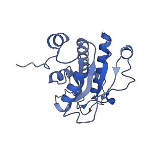 2566_3j6b_d_v1-5
Structure of the yeast mitochondrial large ribosomal subunit