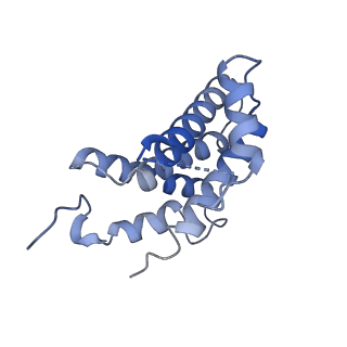 33735_8j60_C_v1-0
Structural and mechanistic insight into ribosomal ITS2 RNA processing by nuclease-kinase machinery