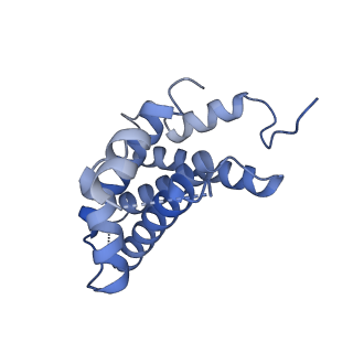 33735_8j60_D_v1-0
Structural and mechanistic insight into ribosomal ITS2 RNA processing by nuclease-kinase machinery
