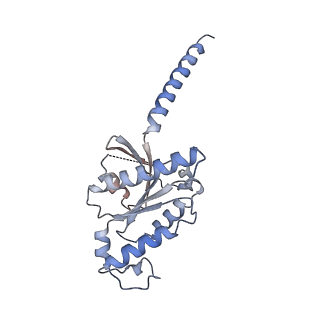 36001_8j6d_A_v1-2
Structure of EP141-C3aR-Go complex