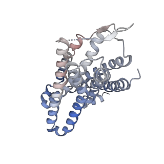 36001_8j6d_C_v1-2
Structure of EP141-C3aR-Go complex