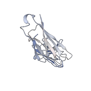 36003_8j6f_H_v1-0
Cryo-EM structure of the Tocilizumab Fab/IL-6R complex