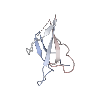 36003_8j6f_I_v1-0
Cryo-EM structure of the Tocilizumab Fab/IL-6R complex