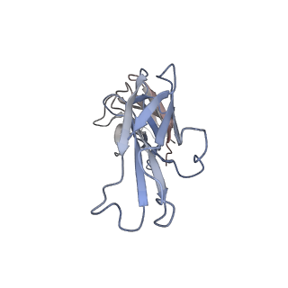 36003_8j6f_L_v1-0
Cryo-EM structure of the Tocilizumab Fab/IL-6R complex