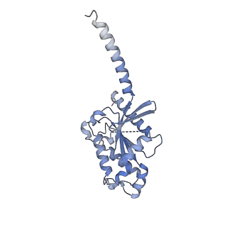 36006_8j6j_A_v1-0
Cryo-EM structure of thehydroxycarboxylic acid receptor 2-Gi protein complex bound with GSK256073