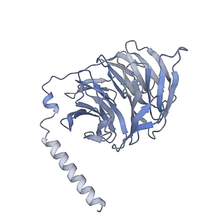 36006_8j6j_B_v1-0
Cryo-EM structure of thehydroxycarboxylic acid receptor 2-Gi protein complex bound with GSK256073