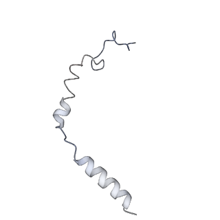 36006_8j6j_G_v1-0
Cryo-EM structure of thehydroxycarboxylic acid receptor 2-Gi protein complex bound with GSK256073