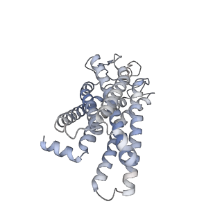 36006_8j6j_R_v1-0
Cryo-EM structure of thehydroxycarboxylic acid receptor 2-Gi protein complex bound with GSK256073